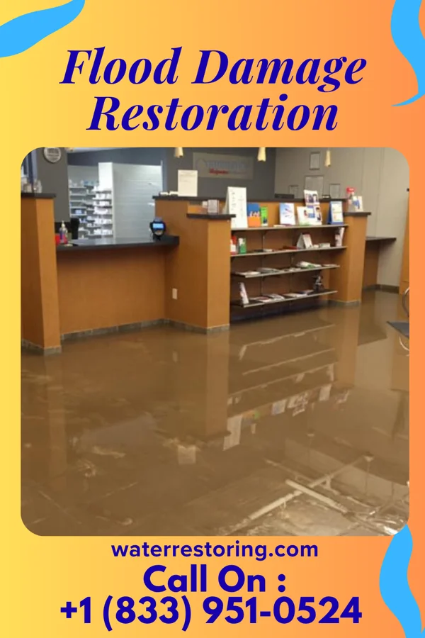 Flood Damage Restoration in Mount Arlington, NJ